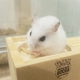 hamu__citane