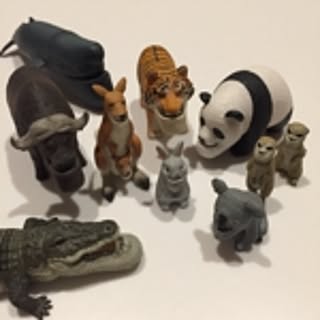 Hakunamatata