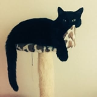 coco