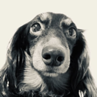 meg