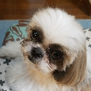 MARUCO