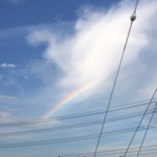 mayuiro