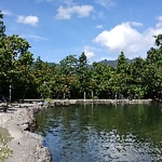 koara