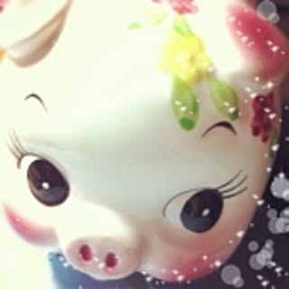 Teddy