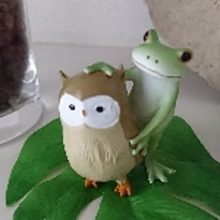 aya-ori