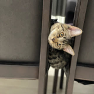 hiro