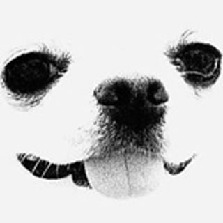 koo