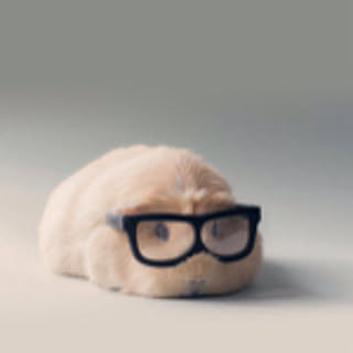 yuki