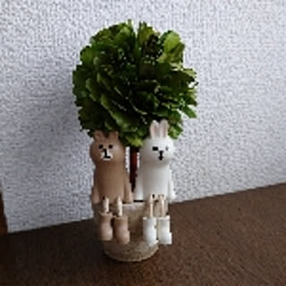 macha
