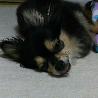 coco