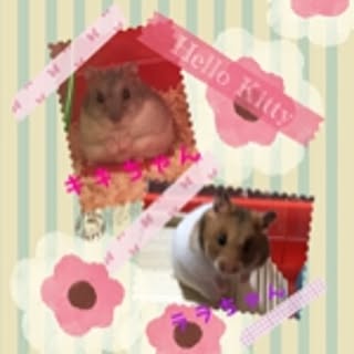 ichi