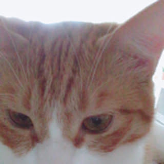 Runa