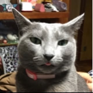 96neko
