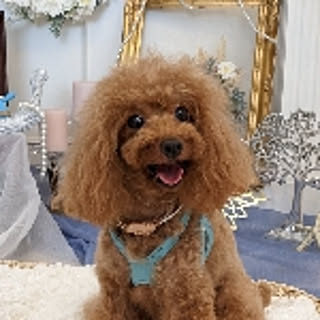 CoCo_42