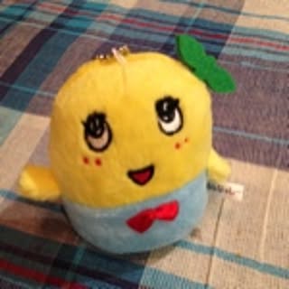 misacchi16