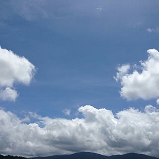 rie