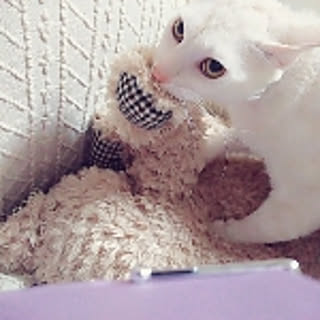 Yaya