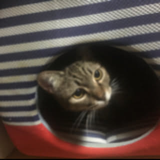 largo