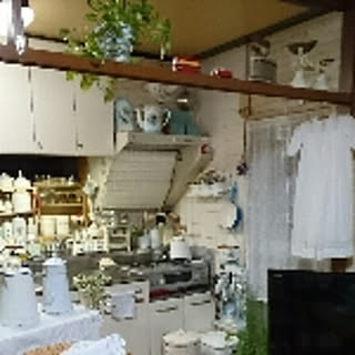 cocoamilk.hisa