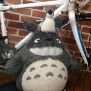 totoro