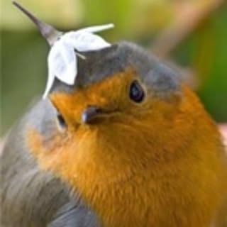 manju_kowai83