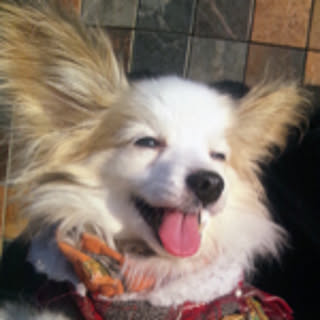 umetaro