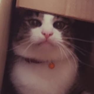 miru