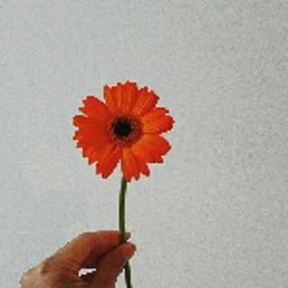 a.matsu
