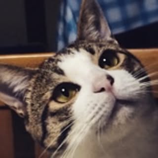 KIRA