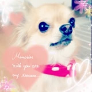 yuki