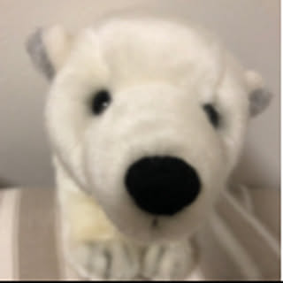ShiroKuma
