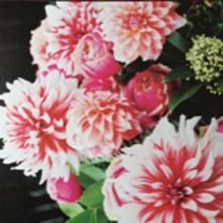 september