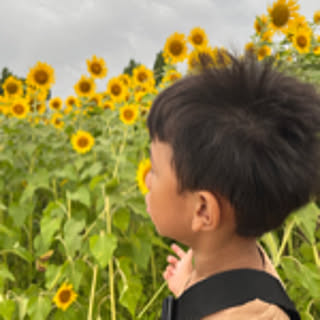 sunny.hiru