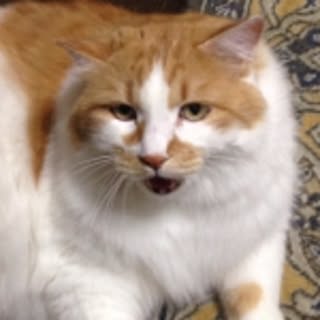 charoyama