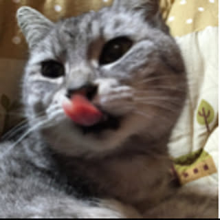 nqkmo