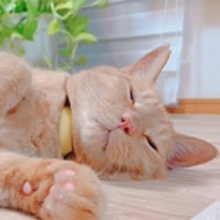 Yuki