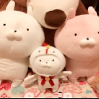 sakipin