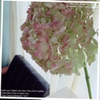 coton_room3