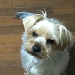 tama-chan