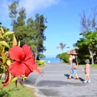 nalu_lai_aloha