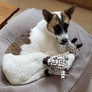 kai
