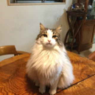 nana