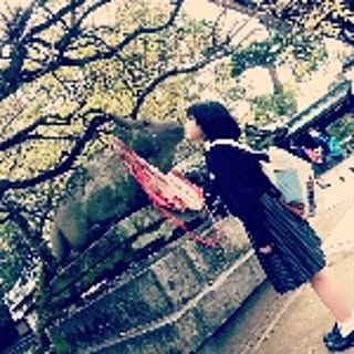 yui