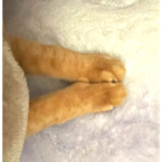 macoro