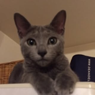 SATOMI