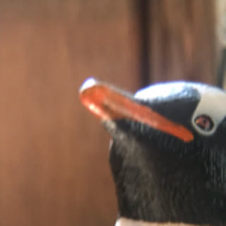 yaco