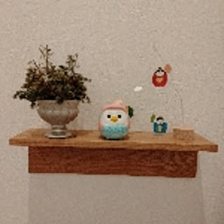 UME.co