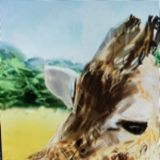 aki.co