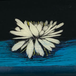yamako