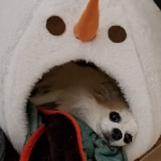 ryuukun89